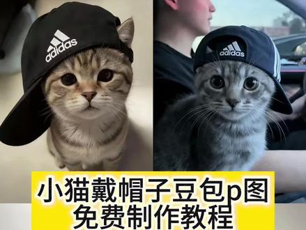 小猫戴帽子豆包ai指令教程来啦 小猫戴帽子豆包ai指令#豆包ai #豆包P图已经nextlevel了 #小猫戴帽子豆包ai指令 #小猫戴帽子 #猫咪戴帽子 小猫戴帽子特效 小猫帽子歪歪戴ai指令 小猫戴帽子 小狗戴帽子ai口令 小猫戴帽子头像 小猫戴帽子ai指令 小猫戴帽子指令 猫咪戴帽子ai图片指令 猫咪帽子ai指令 猫咪帽子特效 猫咪帽子ai adidas帽子带个小猫
