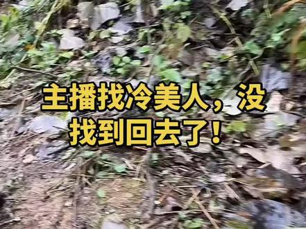 主播找冷美人没找到!#七星山骆驼杯
