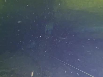 洞潜→极限运动中的极限#洞穴潜水 #潜水#洞穴探险#神秘园