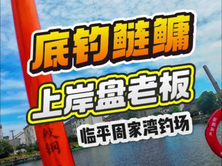 底钓鲢鳙-是什么饵料配方能在3个小时连杆8条鲢鳙? #原来钓鱼才是运动顶流 #钓鱼 #螺纹钢鲢鳙 #汉鼎螺纹钢 @汉鼎官方旗舰店