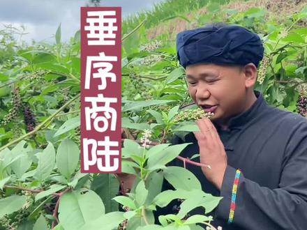 #商陆 ~这一种外侵物种的垂序商陆有多少朋友了解的?#植物科普 #识百草 #农村生活