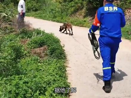 岳阳一女子到湖边打藜蒿失联,搜救志愿者称最多时有近百人帮忙寻找#岳阳 #失联