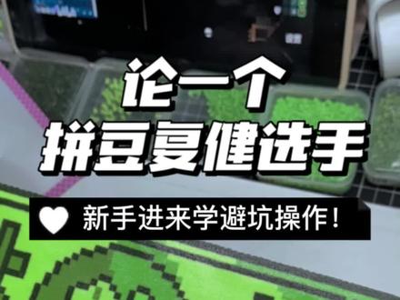 拼豆不常规操作#拼豆 #糕家铺杂烘焙布 #拼豆流程 #拼豆也太有意思了