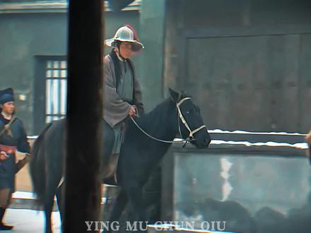 3 谁敢去劫武松押运的生辰纲,蒋门神吗 #武松#水浒传#四大名著