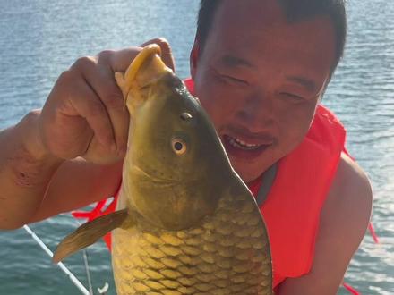 他们拿啥和我拼啊,又上大鲤鱼了 #户外钓鱼 #擒龙诀荒野挨饿王大鱼挑战赛 #刷锅传媒