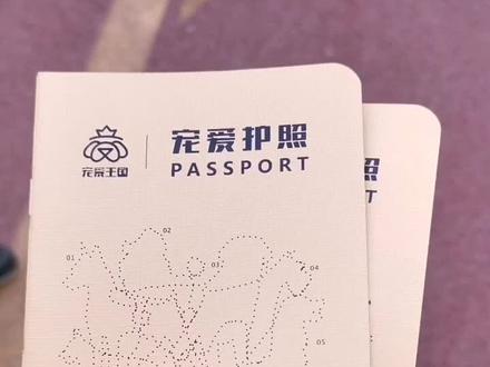 cku的幼犬出生纸芯片,办理证书的必需证件