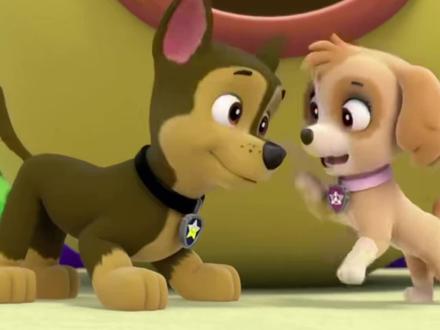 奇天cp撒糖瞬间#汪汪队立大功