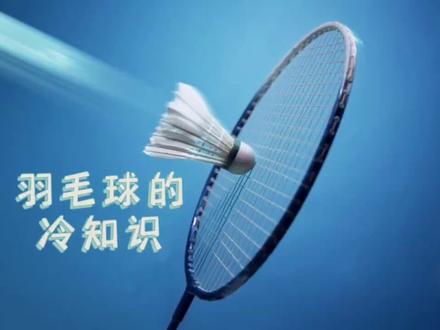 冯馆长聊羽毛球21羽毛球的这些冷知识你知道多少?#羽毛球 #运动 #羽毛球教学