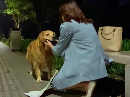 每一个狗狗都是守护和陪伴我们的天使,愿它们可以被世界温柔以待#传递正能量