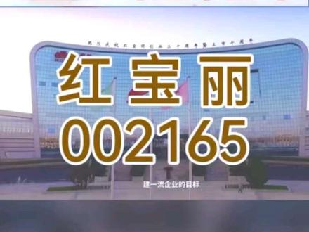 市盈率190倍!红宝丽002165这只化工龙头到底值不值得守?#财经 #金融 #化工 #红宝丽