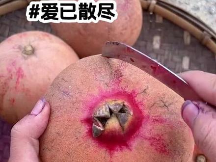 散尽全部的爱后续#叶之天亦晴张可可大结局#虐心虐恋 #愿所有女孩都能被温柔对待 #短篇故事