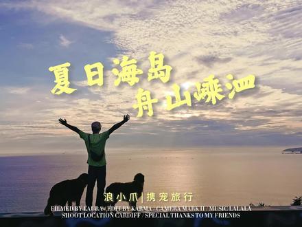 这个夏天自驾带狗去海岛🏝️,攻略等你收藏哦。#携宠出游 #旅行 #海岛度假 #嵊泗 #一起看海