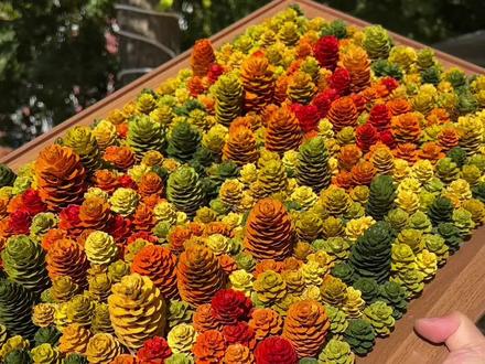 秋天的大兴安岭被我带回了家#鹿客AI智能锁#大兴安岭#松果装饰画 #秋天 #青年创作者成长计划