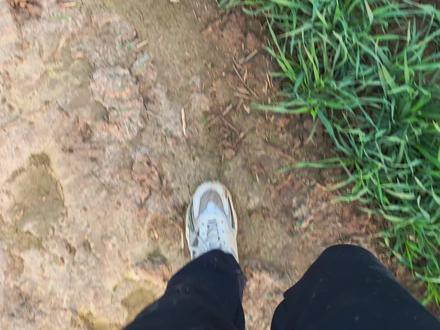 你可以不服爸爸的管,但一定要活出让他放心的样子。
爸爸的严厉不是束缚,全是担忧。
怕你年少无知撞南墙,
怕你心软单纯被人伤,
怕你未来风雨无人挡,
怕你荒废时光悔断肠。
别再固执倔强,努力向上生长,
你活得光芒万丈,就是给爸爸最好的答案。#治愈系风景 #乡村田野