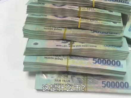 世界各国的货币! #货币 #汇率 #钱币 #涨知识 #数钱数到手抽筋