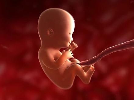 胎儿是如何排泄的?你知道吗?#关爱女性健康 #医学科普 #科普一下