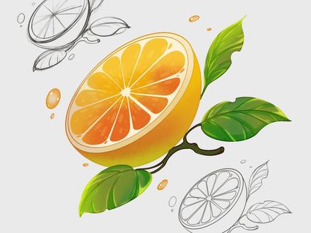 【018期】不止于此插画团练营之100个有趣小物件-橙子#procreate绘画 #画画 #干货分享 #procreate零基础绘画教学 #不止于此插画团练 @番茄Fanqie @抖音小助手