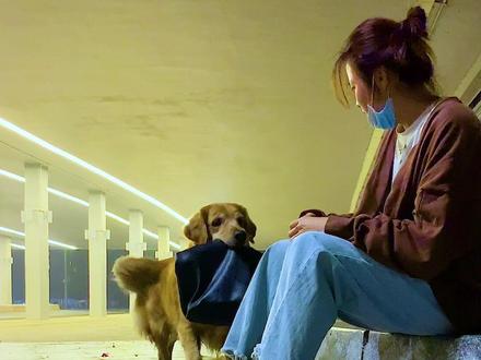 流浪狗报恩,勇斗小偷,多一点善良,让世界充满爱!#传递正能量