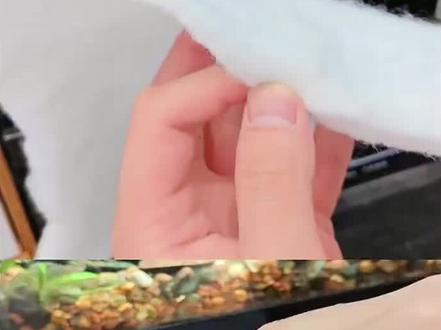 鱼缸过滤超滤棉耐用养鱼加厚精密过滤棉羊绒棉白棉净水过滤棉滤材#鱼缸过滤超滤棉 #鱼缸过滤棉 #鱼缸超滤棉 #超滤棉 #过滤棉