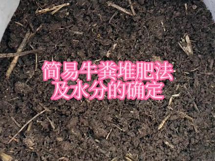 简易牛粪堆肥发酵有机肥及水分的确定#牛粪 #堆肥发酵 #有机肥