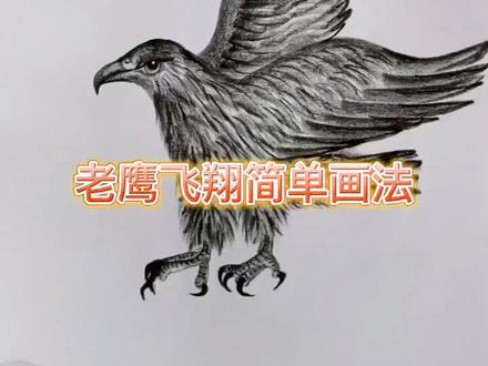 听过关于老鹰自身很感人很励志的故事,所以敬佩老鹰的精神。一起来用简单方法画老鹰吧!#热门 #画画 #简笔画 #炭笔画 #一起学画画