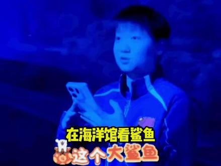 孙颖莎和王楚钦在海洋馆看鲨鱼,两个人状态那是完全不一样 #国乒#孙颖莎 #王楚钦 #体育#抖音伙伴计划
