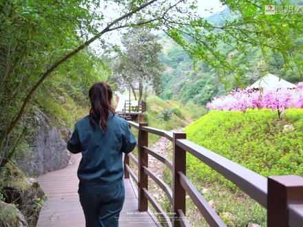 公交司机带你玩~沙朗文创园+宝石洞#观光巴士 #昆明游玩推荐 #昆明游玩攻略