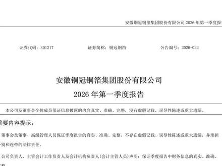 铜冠铜箔 #铜冠铜箔 一季报财报解读