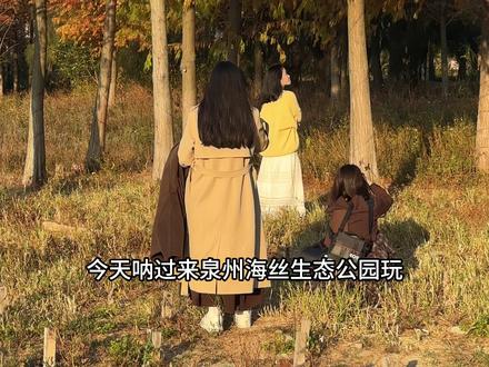 海丝生态公园的落羽杉变红灿灿了哦,好美丽的一个小众公园。露营野餐的好去处🤩#海丝生态公园 #落羽杉 #红杉树 #泉州 #旅游