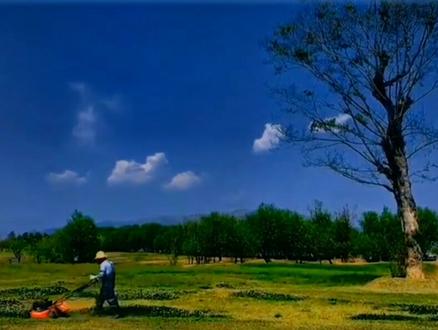 #剪映教程 今天教你制作白天渐变夜晚的视频#手机摄影 #手机特效