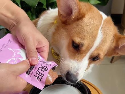 兔肝是狗狗眼中的人间美味#萌宠好物 #家有馋狗