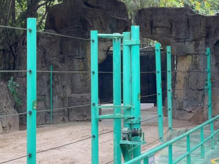 亚洲象玛利亚 #亚洲象玛利亚 #长隆野生动物世界 我们的甜心公主玛利亚玛甜甜又来吃好吃的啦!!看到最后,玛利亚会跟大家打招呼噢~