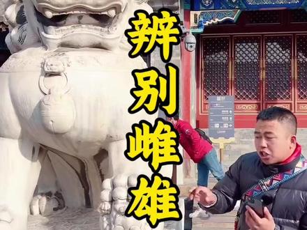 你能分辨雌雄狮子吗?#恭王府#狮子#北京#历史