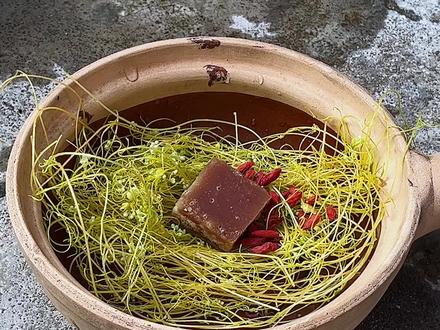 菟丝子又名黄金藤。#西瓜知识