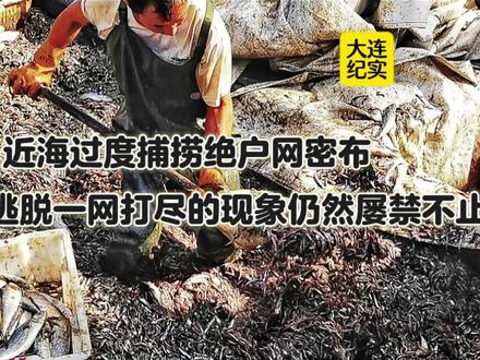 纪实,近海过度捕捞绝户网密布小鱼难逃一网打尽的现象仍屡禁不止 #保护海洋生态环境人人有责