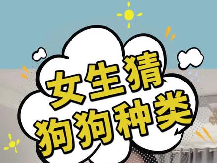 女生猜狗狗种类,最后一个你认识吗 #办公室 #狗