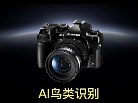 奥之心 OM-1 AI对焦设置