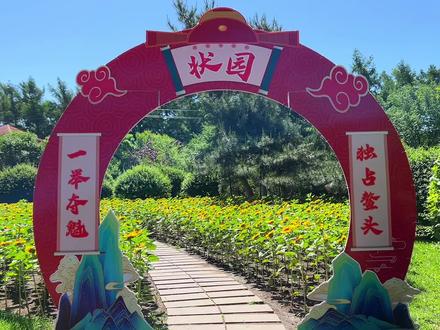 长春百花园高考主题花海,很有特色,今年百花园真的是越来越美了,感觉几天不去就有新的面貌,值得一游!#游园 #花展 #助力高考 #治愈系风景 #长春游玩推荐