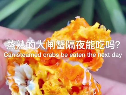 蒸熟的大闸蟹第二天还能吃吗?#精品大闸蟹 #螃蟹🦀 #螃蟹养殖 #固城湖螃蟹