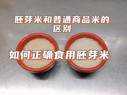 胚芽米和普通米的区别&如何正确食用胚芽米 #胚芽米 #胚芽鲜米 #胚芽米饭