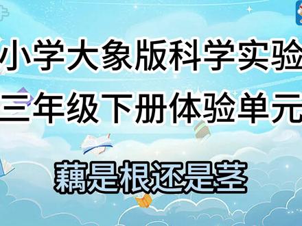 2026小学大象版3年级下册科学实验准备单元 藕是根还是茎 2026小学大象版3年级下册科学实验准备单元 藕是根还是茎#藕是根还是茎 #小学科学小实验 #小学科学大象版 #科学实验大玩家 #冠军的选择