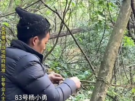 #荒野刀疤哥 考古 吃了没有好好读书的亏,自认性格温和乐观的人…