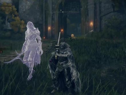 骨灰“黑刀”狄希,帅气的狼哥套装#艾尔登法环#游戏分享#游戏 #游戏日常