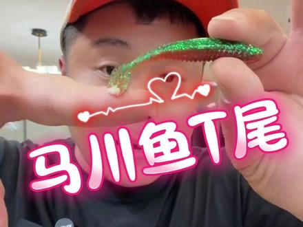 驯鱼高手马川鱼T尾鳜鱼T尾鲈鱼软饵螺纹大摆幅零启动软饵 #马川鱼T尾 #T尾 #软饵 #路亚饵选择 #鳜鱼饵