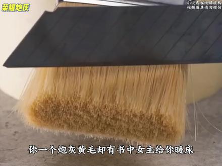《荣耀炮灰》#推文 #讲故事 #diy #爽文