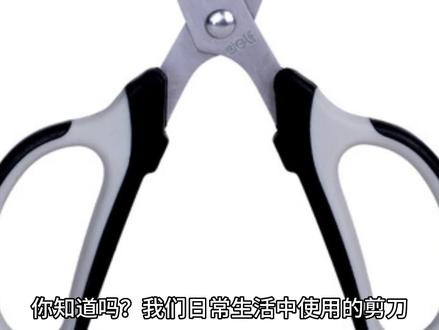 达芬奇的剪刀 #百科 #涨姿势 #中世纪 #科学家 #名画 #冷知识