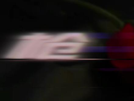 诶 相对 那就针锋相对 #比比Oi枪火翻唱谁更拽 #满汉兔子 #枪火