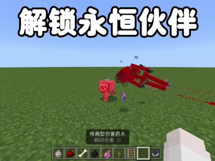 我的世界:解锁永恒伙伴! #我的世界