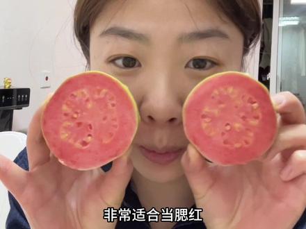 真的有人喜欢吃芭乐吗#芭乐 #番石榴 #难吃