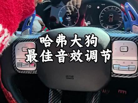 哈弗大狗大狗的音效调节最佳参数来了#哈弗大狗